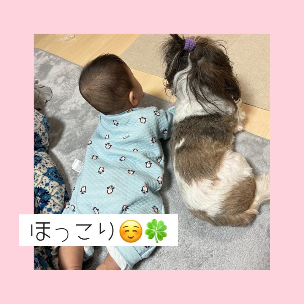 孫と愛犬の幸せ時間